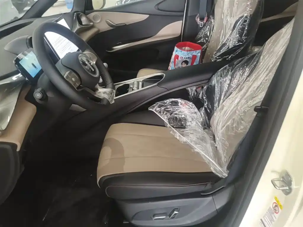 BYD Dolphin 2025 420km Freedom Edition фото 15