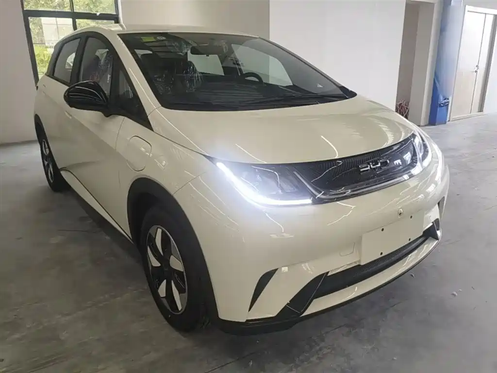 BYD Dolphin 2025 420km Freedom Edition фото 4