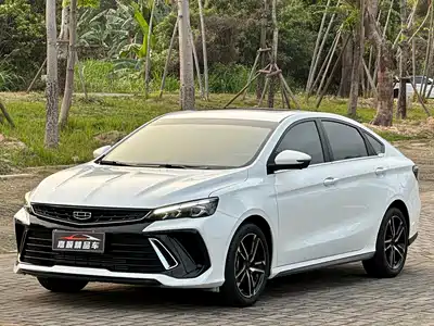 Geely Binrui