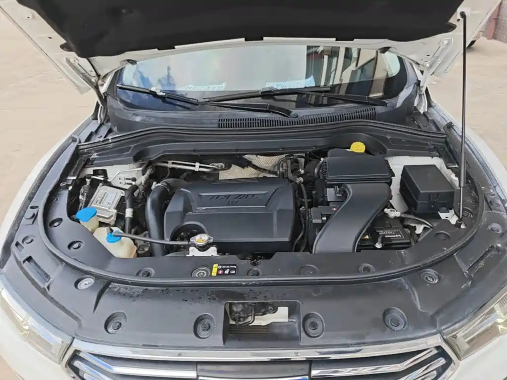 صورة 20 - Haval H2s
