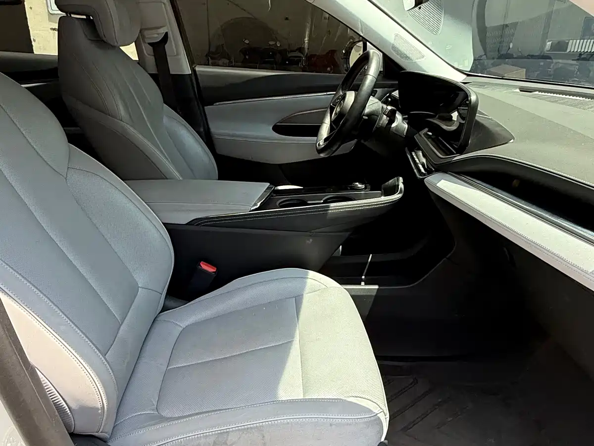 Buick E5 2023 Premium Standard Range Edition фото 7