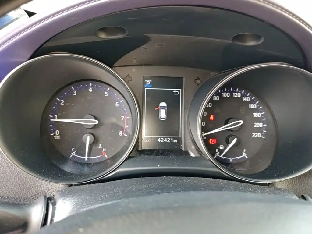 Toyota IZOA 2021 2020 2.0L Yi Xiang Edition
