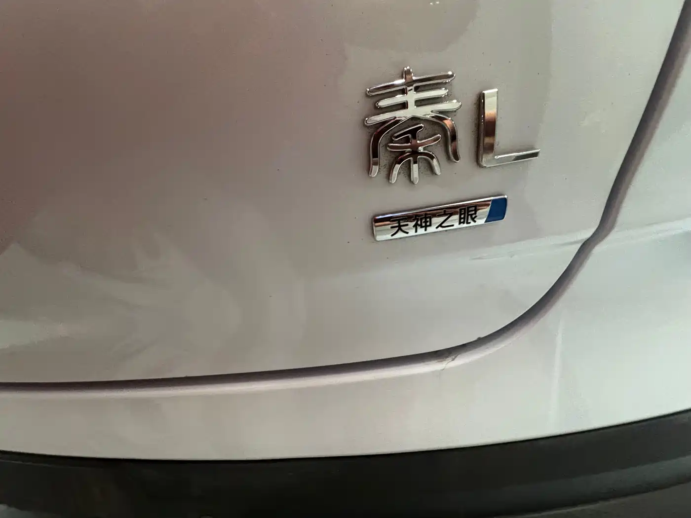 BYD Qin L 2025 DM-i Smart Drive 80KM Premium фото 14