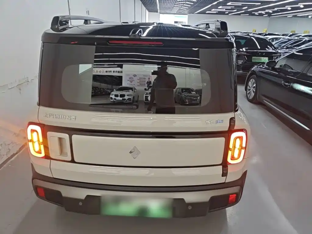 Baojun Yueye Plus 2026 2026 301km Flagship