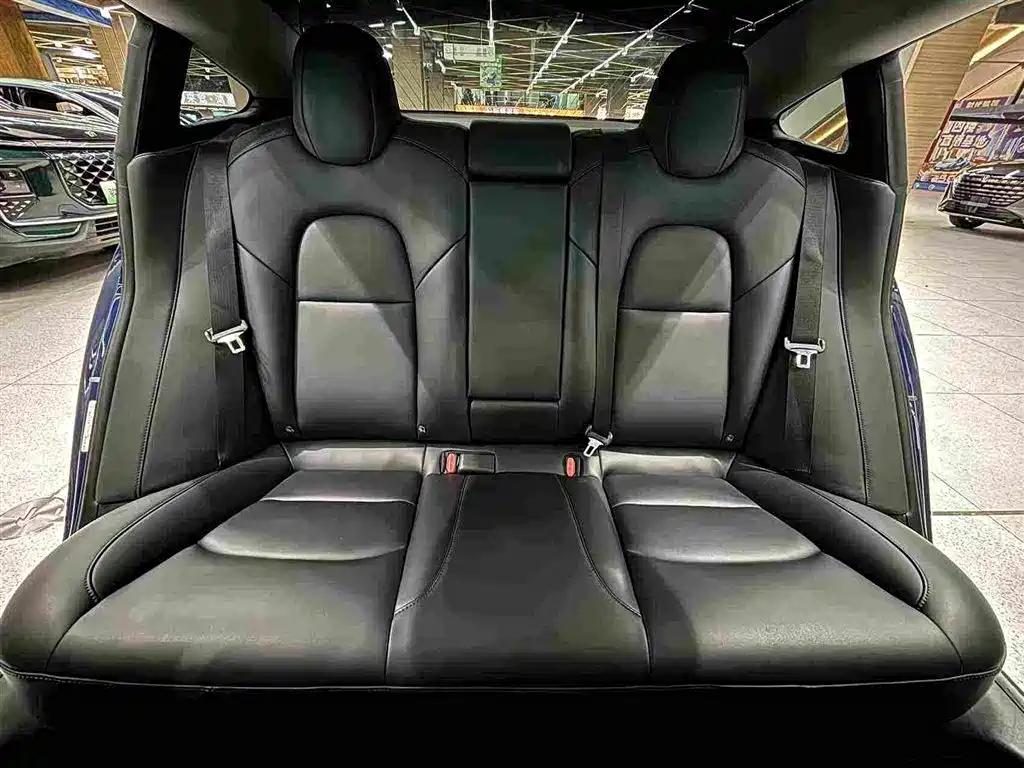 Tesla Model 3 (Import) 2019 2019 Long Range All-Wheel Drive Edition