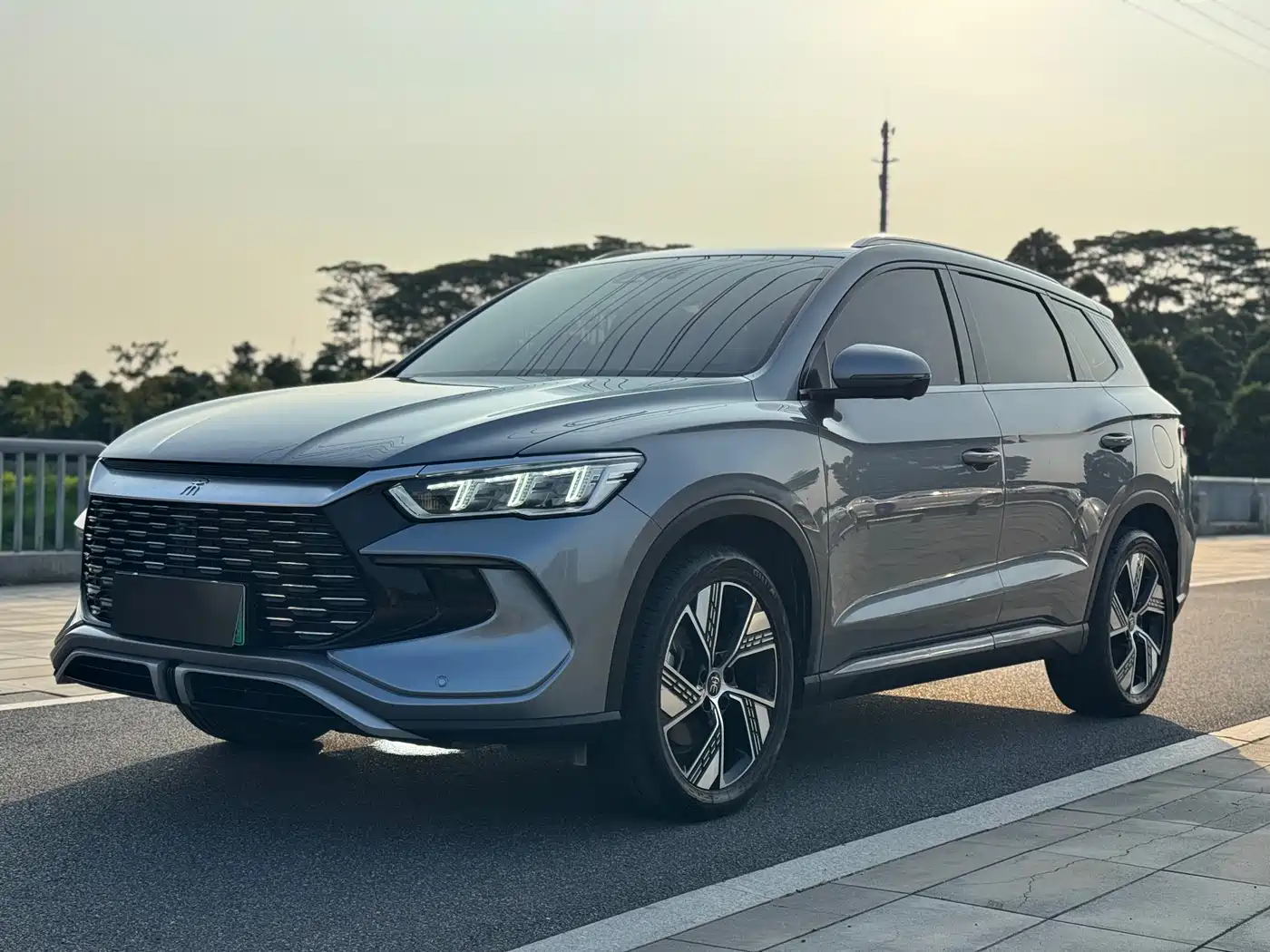 BYD Song Pro New Energy 2023 Champion Edition DM-i 110KM Excellence