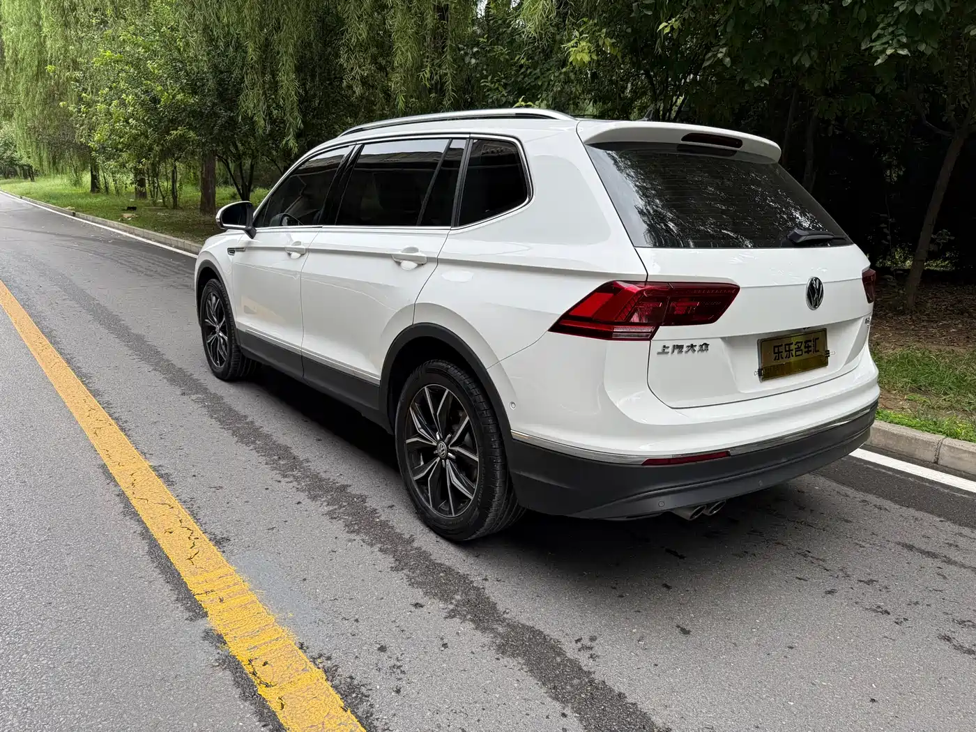 Volkswagen Tiguan L 2019 330TSI Auto 2WD Smart Luxury Edition China V фото 6