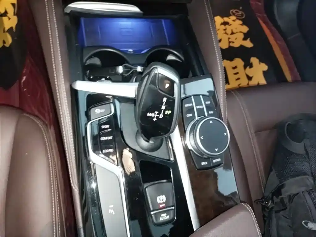 BMW 5 Series 2020 525Li Luxury Package фото 14