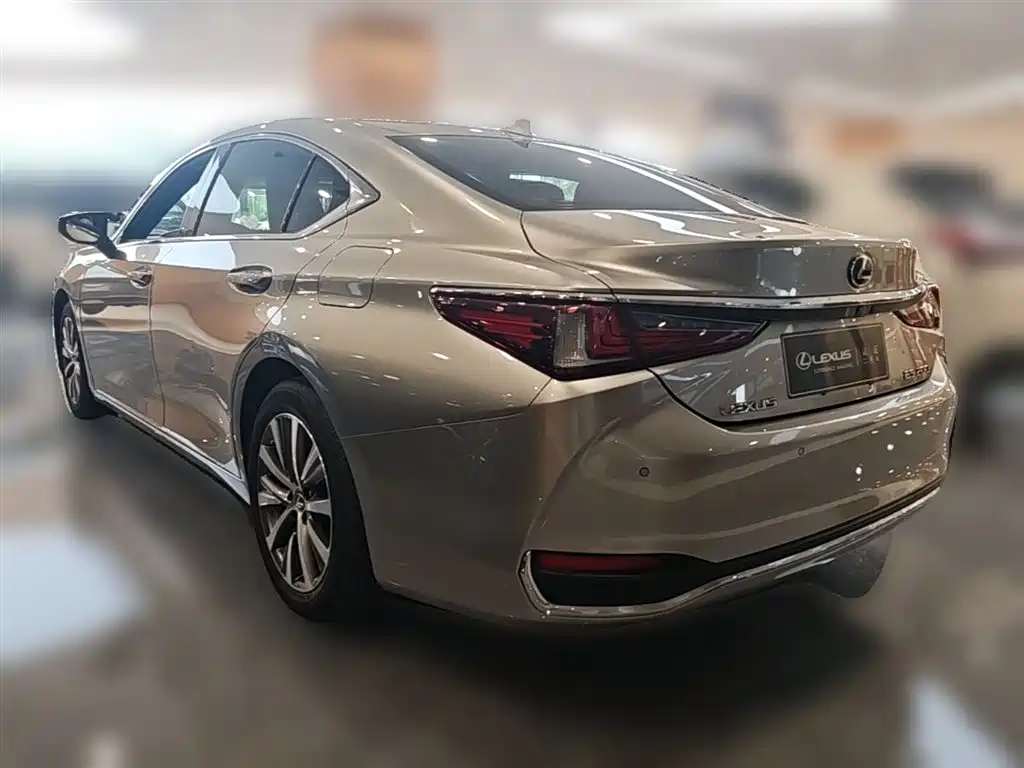Lexus ES 2018 200 Luxury Edition China V фото 9