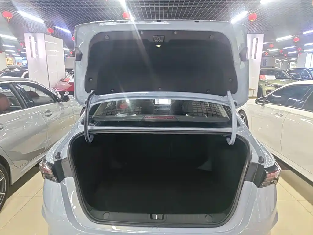 Фото 19 - Geely Binrui
