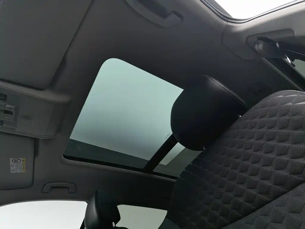 صورة 14 - Volkswagen Teramont