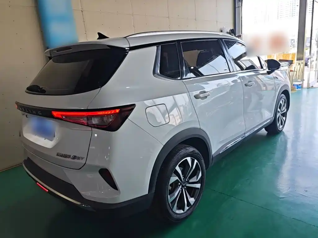 Wuling Motors Wuling Xingchen 2024 2022 2.0L DHT Electric Power Edition