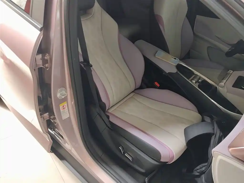BYD Dolphin 2025 420km Fashion Edition фото 20