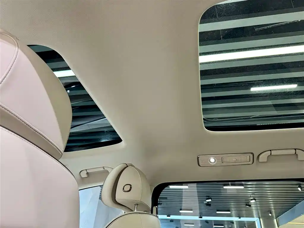 Denza D9 2024 DM-i 980 AWD Prestige фото 24