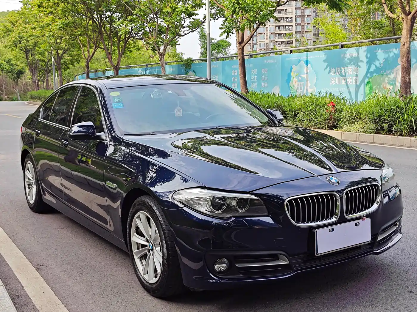BMW 5 Series (Import) 2014 520i Classic фото 3