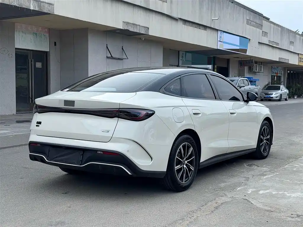 BYD Seal 06 New Energy 2024 DM-i 80KM Prestige фото 4