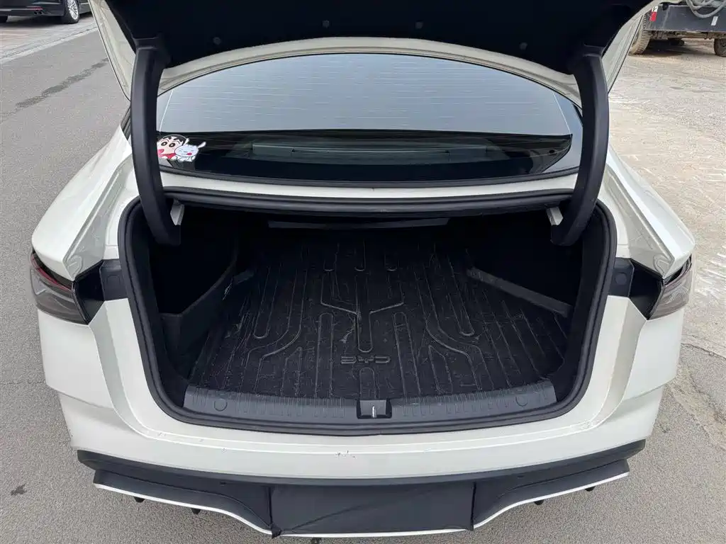 BYD Seal 06 New Energy 2024 DM-i 80KM Prestige фото 13