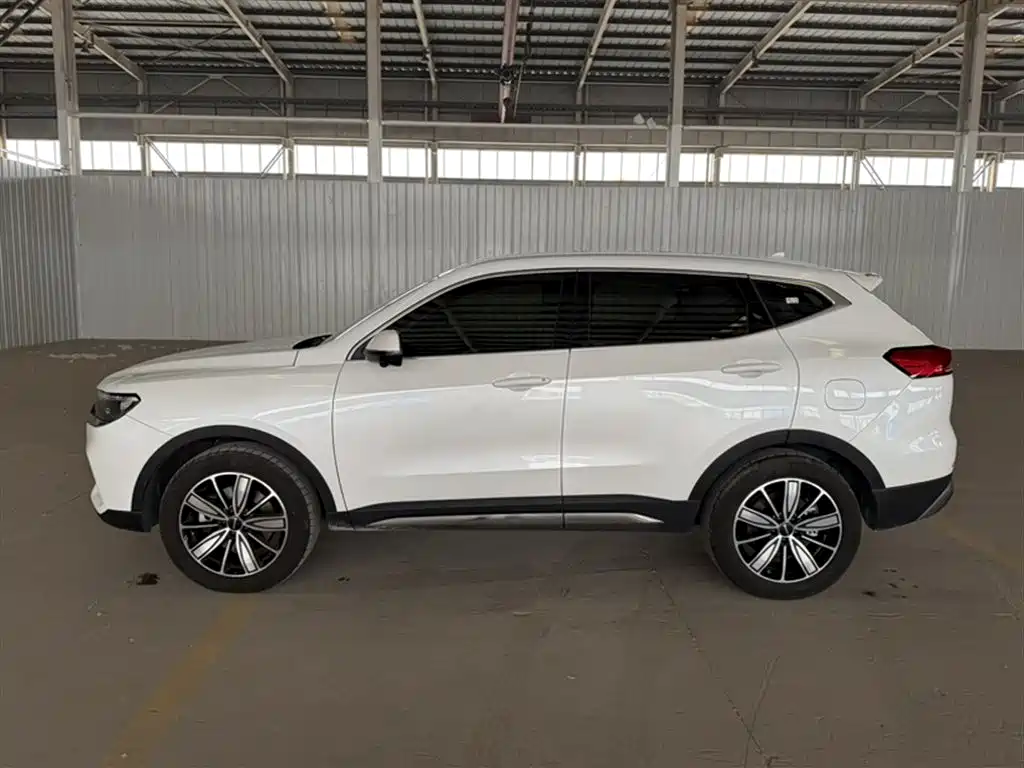 Haval H6 2023 National Trend Edition 1.5T Automatic Champion фото 15