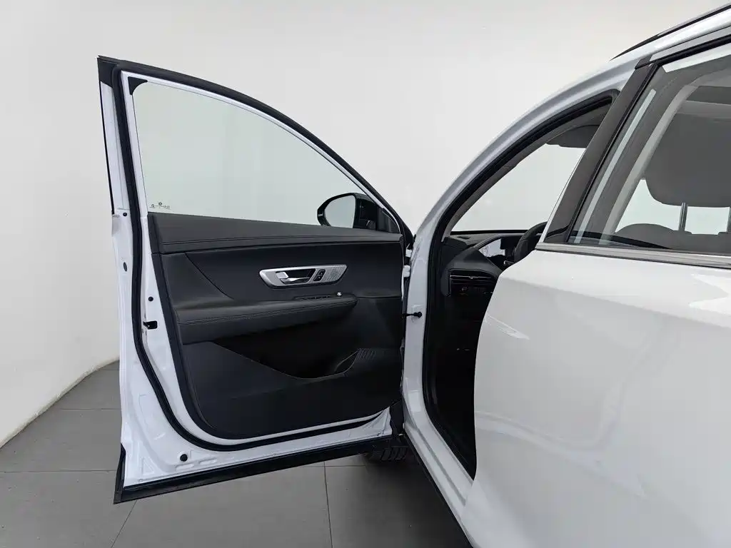 Dongfeng Aeolus Haoji 2024 2024 Mach Power 1.5T Luxury