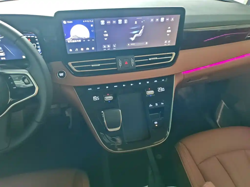 Hongqi HQ9 PHEV 2024 Model 2.0T AWD Luxury Edition фото 13