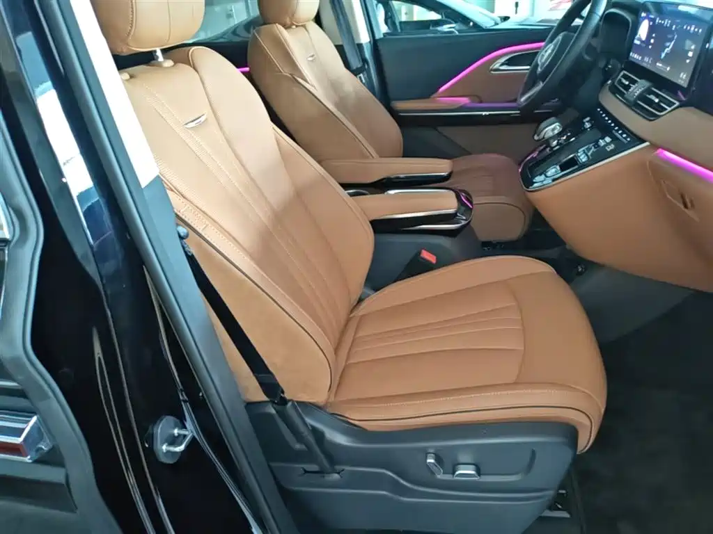 Hongqi HQ9 PHEV 2024 Model 2.0T AWD Luxury Edition фото 25