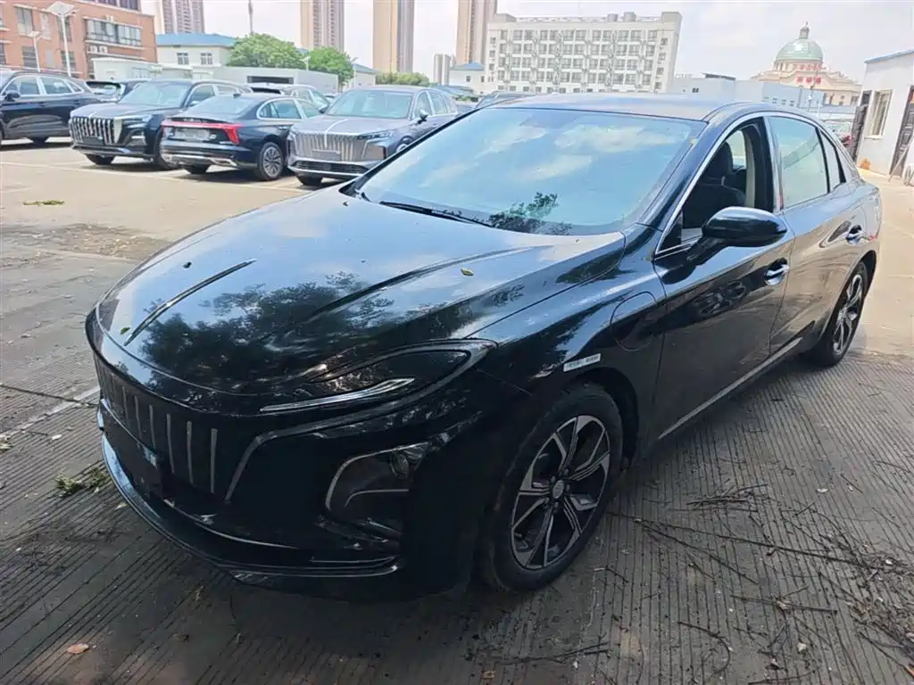 Hongqi E-QM5 2024 Model 450km Travel Edition