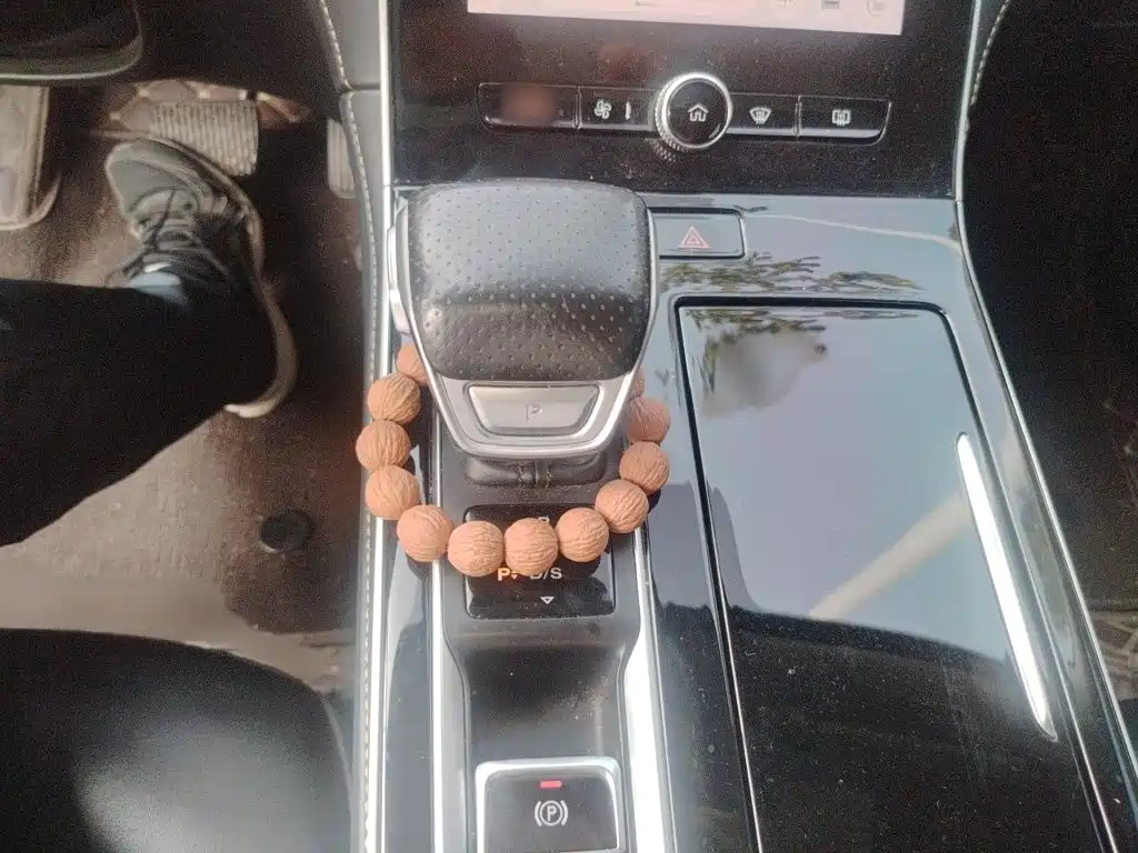 Roewe i6 MAX 2020 2020 300TGI Auto Cool Panoramic Sunroof Edition
