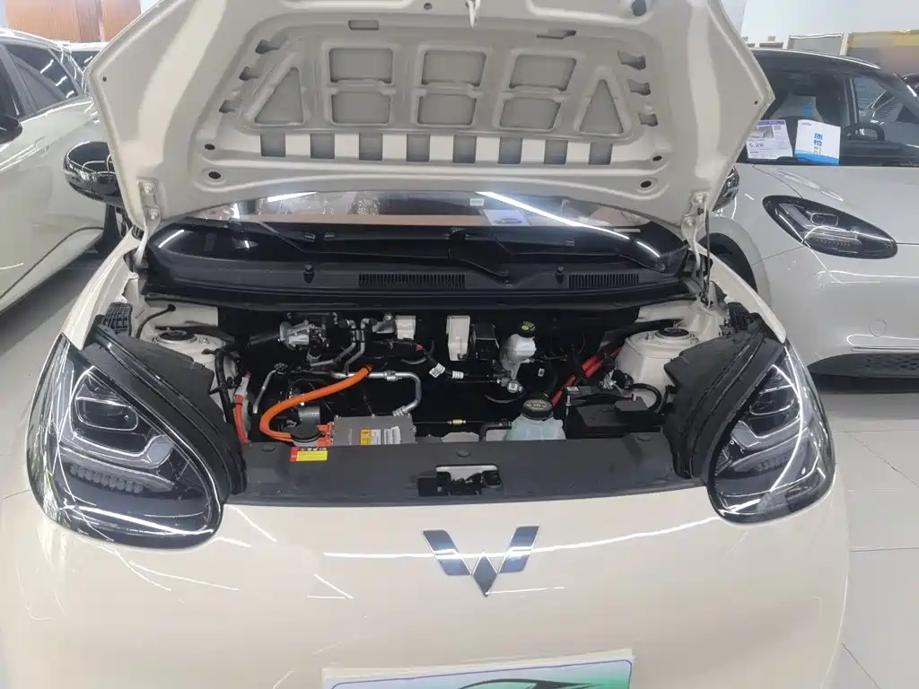 Wuling Motors Wuling Bingo 2026 2025 Model 333km Joy Edition