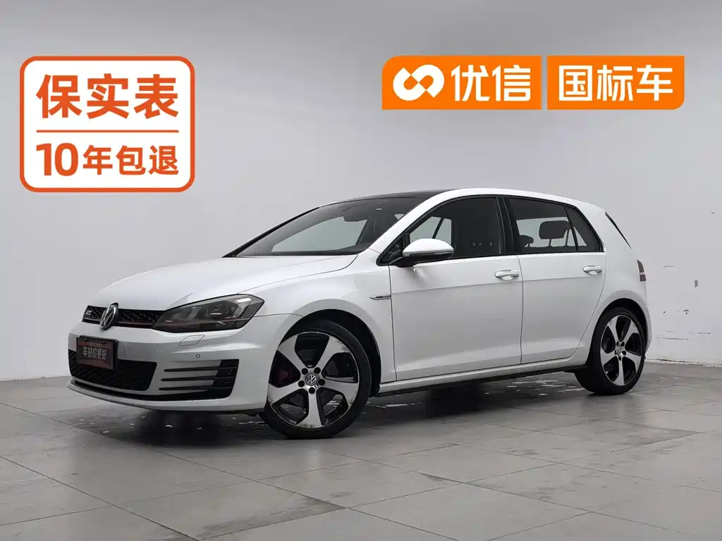 Volkswagen Golf GTI 2016 2016 2.0TSI GTI