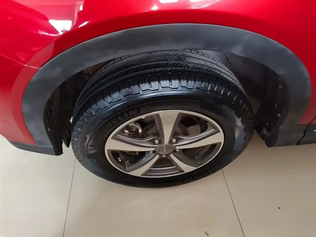 Haval H6 Coupe 2016 Blue Label 1.5T Automatic 2WD Elite фото 23
