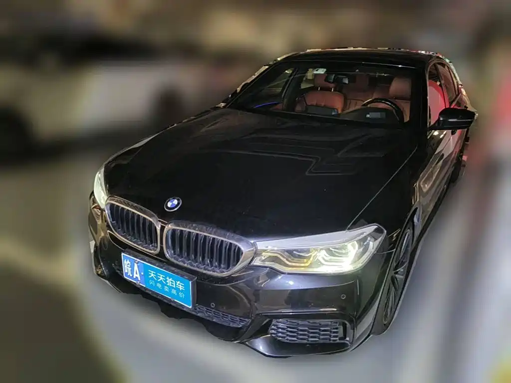 BMW BMW 5 Series 2020 530Li Leading M Sport Package