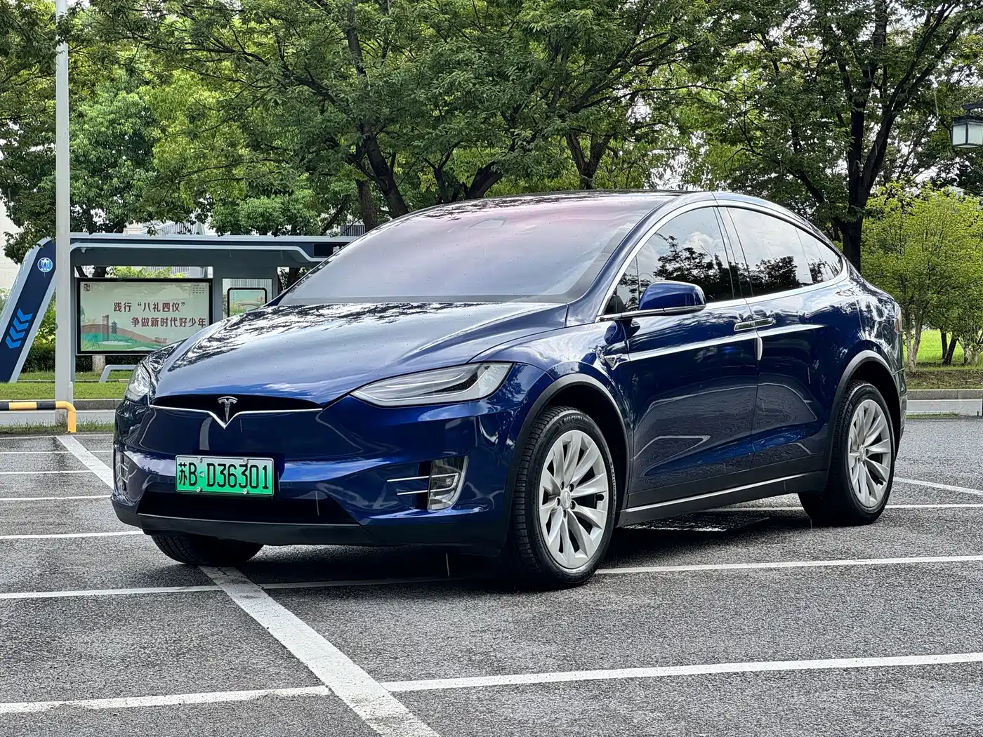Фото 1 - Tesla Model X