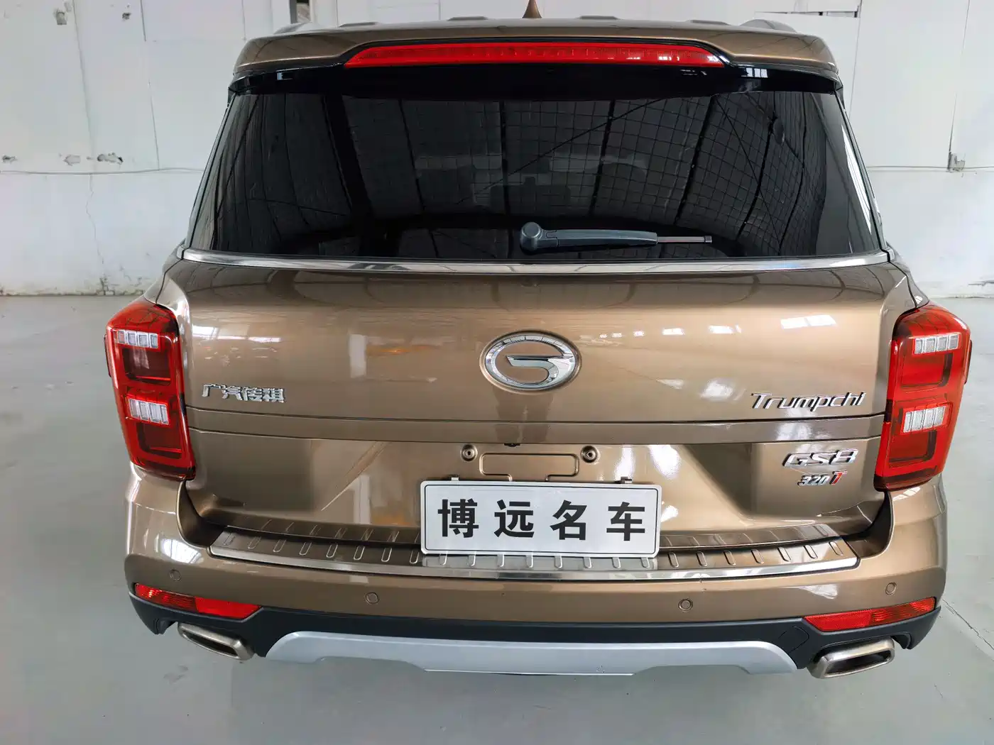 GAC Trumpchi Trumpchi GS8 2017 320T 2WD Luxury Smart Connect (7-seater) фото 6