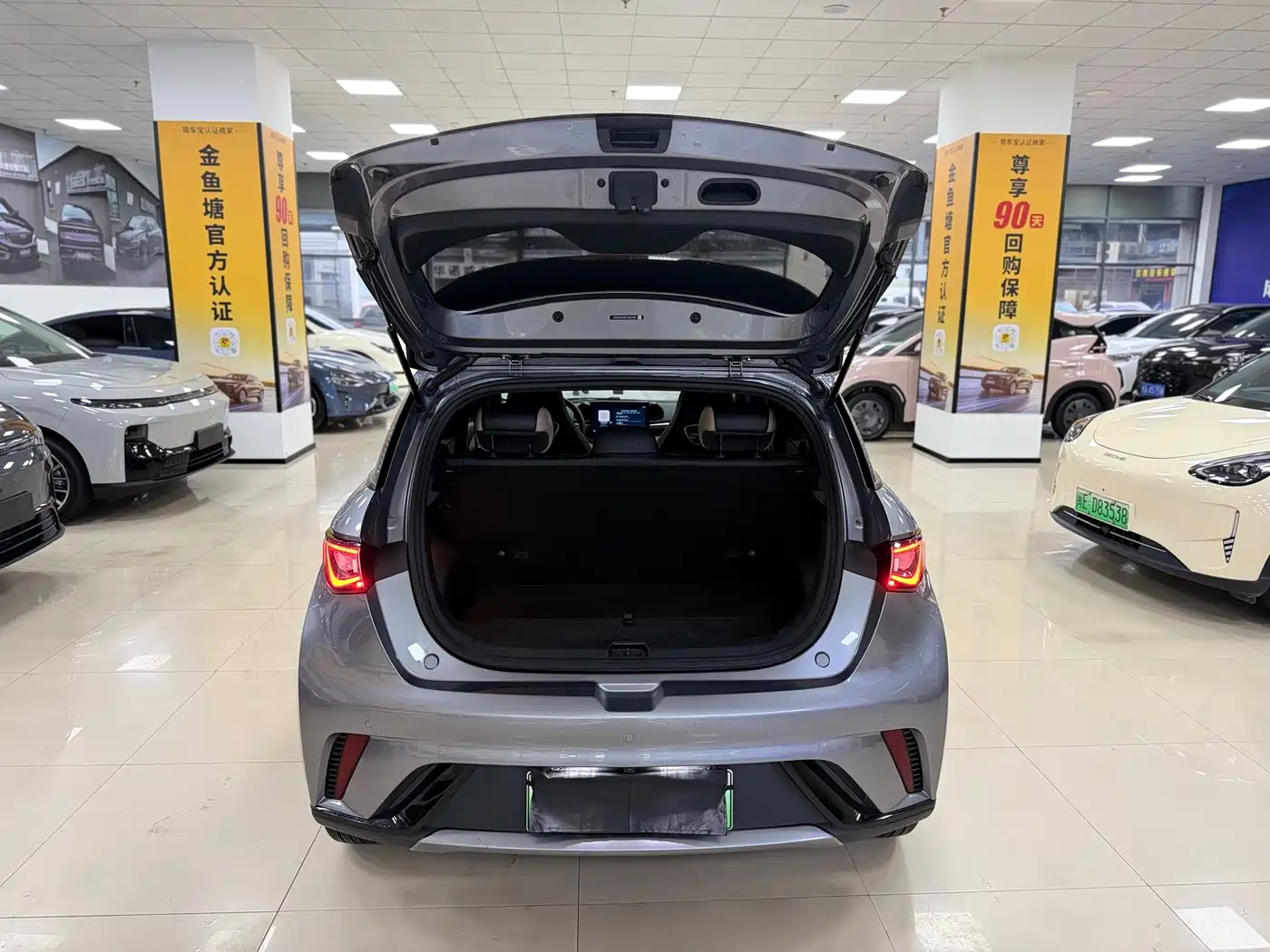 BYD Dolphin 2023 420km Freedom Edition фото 10