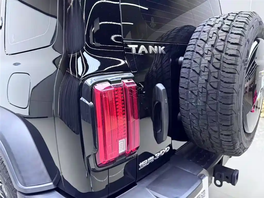Tank 300 2023 Off-Road Edition 2.0T Conqueror фото 5