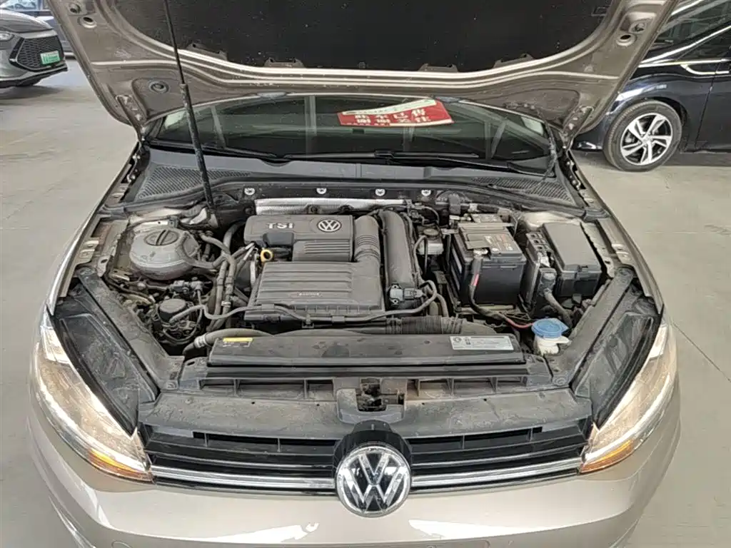 Volkswagen Golf 2019 280TSI DSG Luxury China VI фото 20