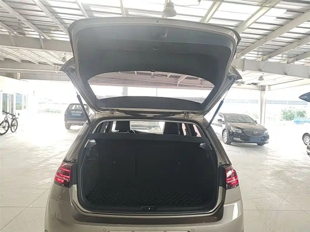 Volkswagen Golf 2019 280TSI DSG Luxury China VI фото 19