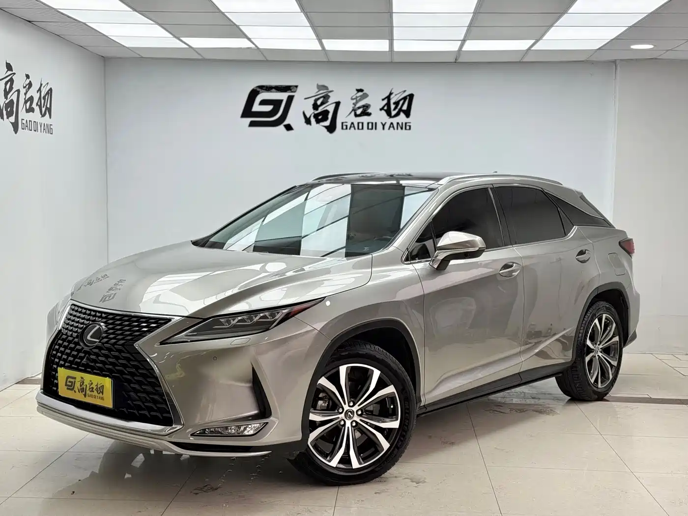 Lexus RX 2020 300 4WD Elegance Edition China VI