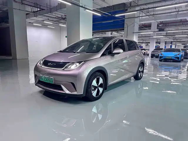 BYD Dolphin 420km, Стиль