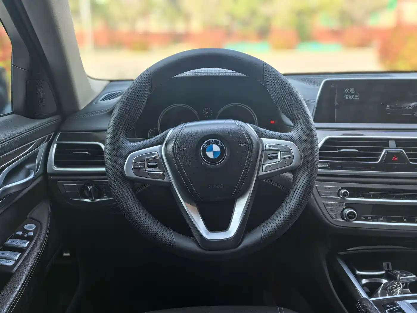 BMW 7 Series 2016 730Li Leading фото 9