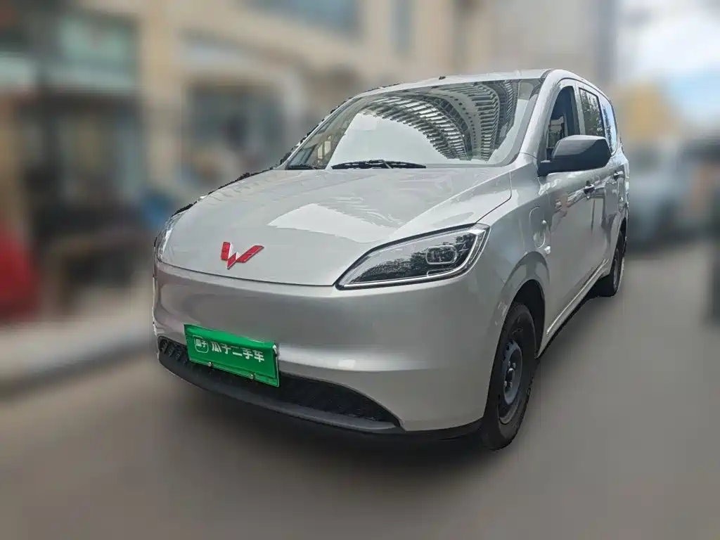 Wuling Motors Wuling Hongguang New Energy 2024 2024 Model Pure Electric 300KM Utility Version