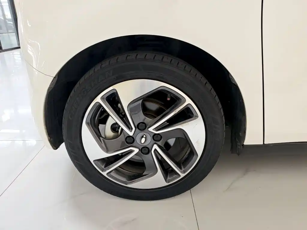 Ora Black Cat 2022 2022 351km Luxury (NMC)