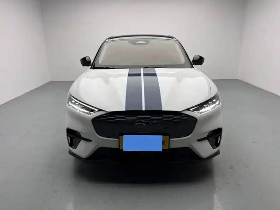Ford Mustang Mach-E 2023 2021 Leap World RWD (Standard Range)