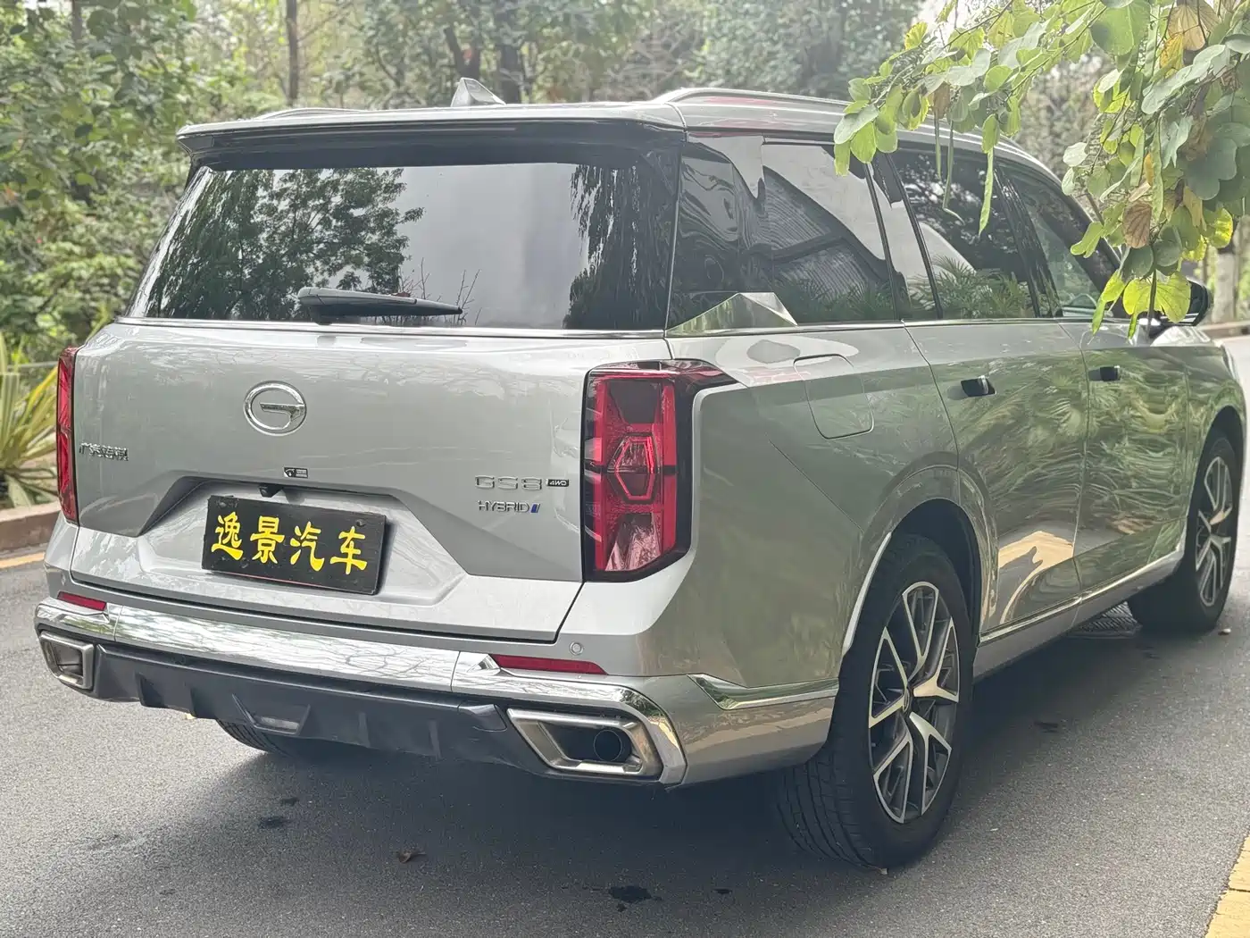 GAC Trumpchi Trumpchi GS8 2024 Dual Engine Series 2.0TM 4WD Premium Edition фото 23