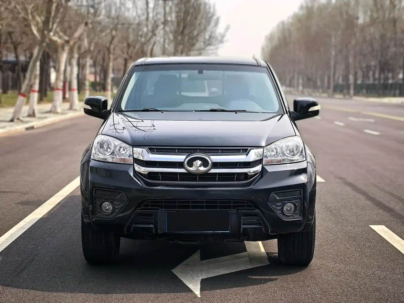 GREAT WALL FENGJUN 5