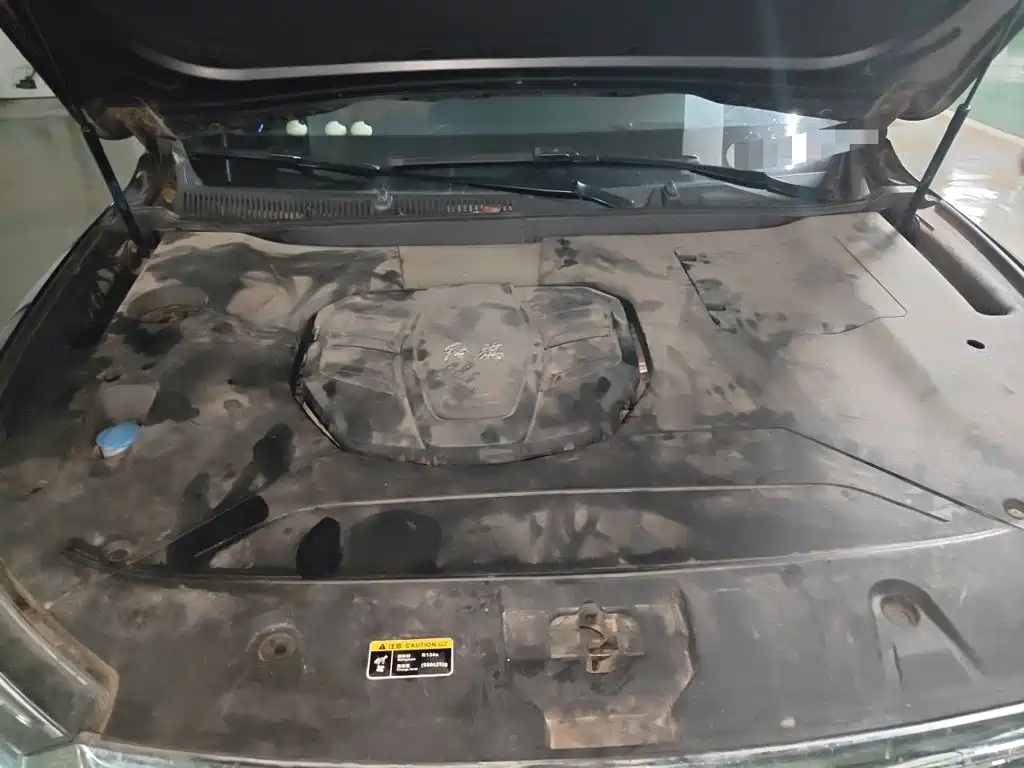 Hongqi HS5 2020 2019 2.0T Intelligent Flagship 4WD Version