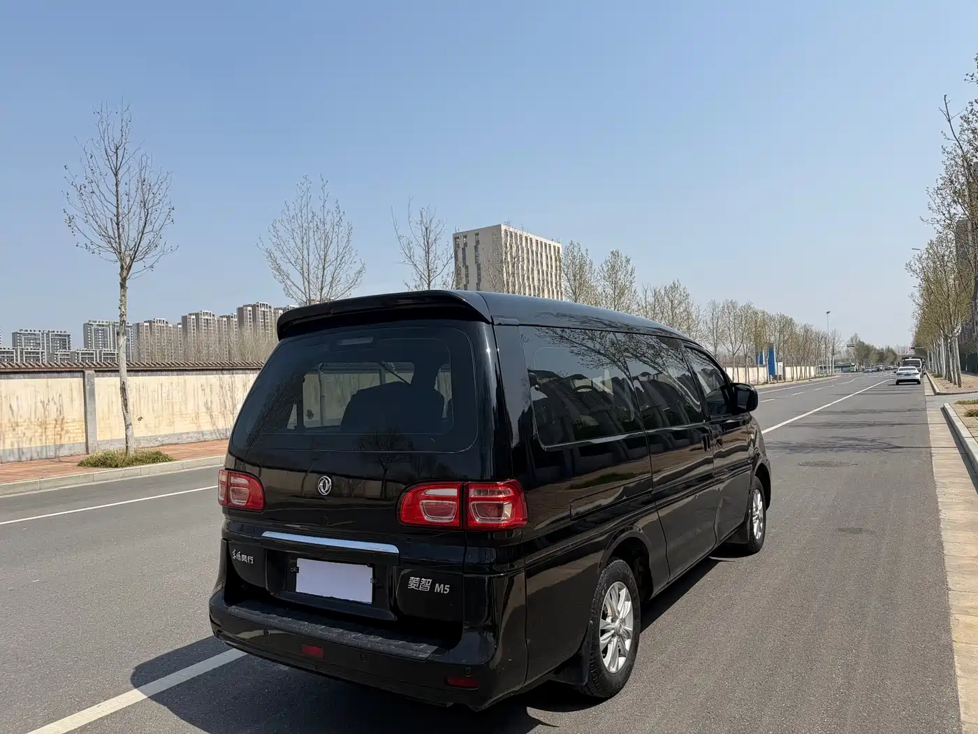 DONGFENG LINGZHI