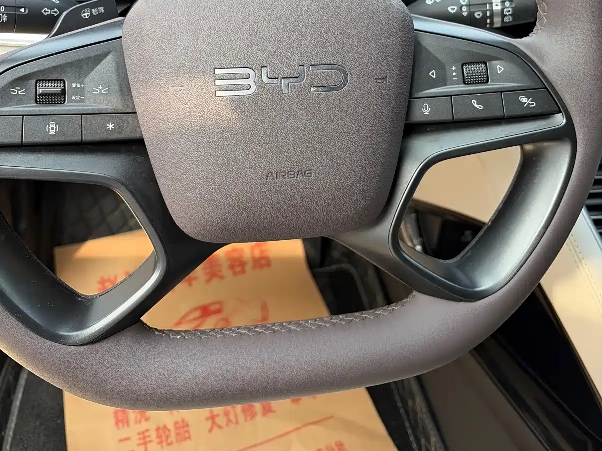 BYD SONGJIANG NEW ENERGY