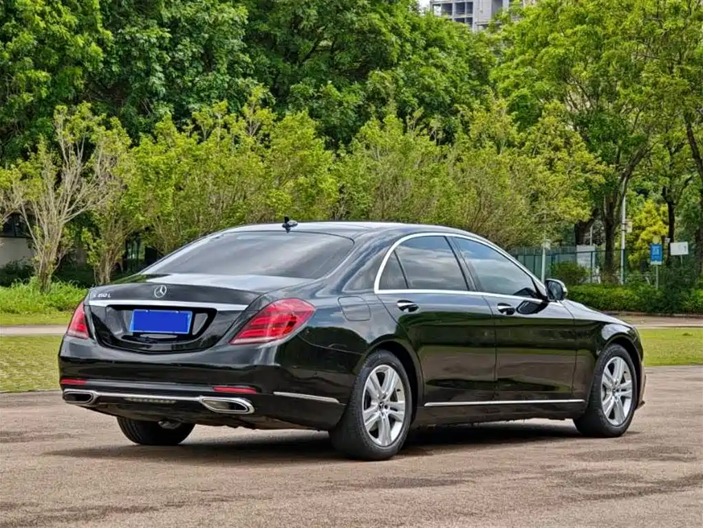 Mercedes-Benz S-Class 2018 S 350 L фото 13