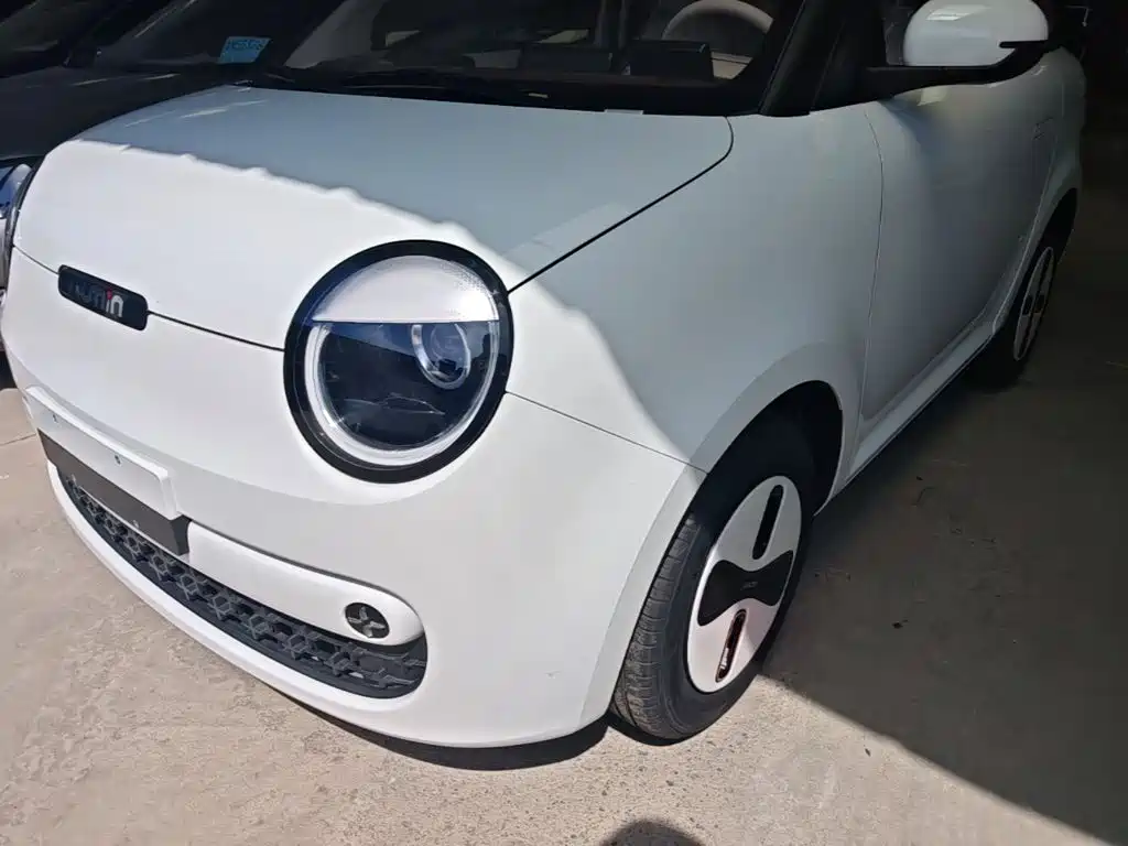 Photo 24 - Changan Lumin